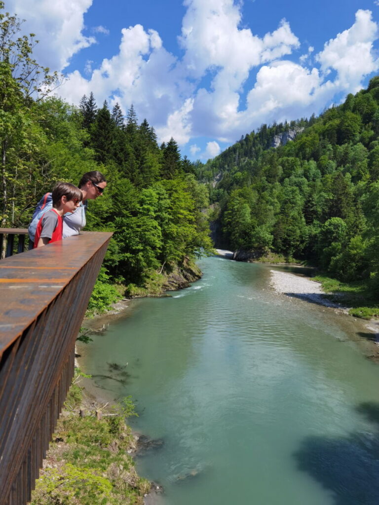 Entenlochklamm wandern und von den Aussichtsplattformen hinunter schauen