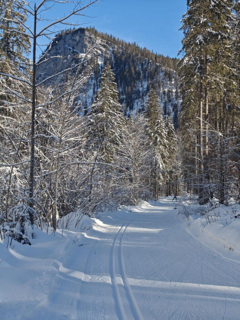 Entdecke die schönsten Walchsee Loipen